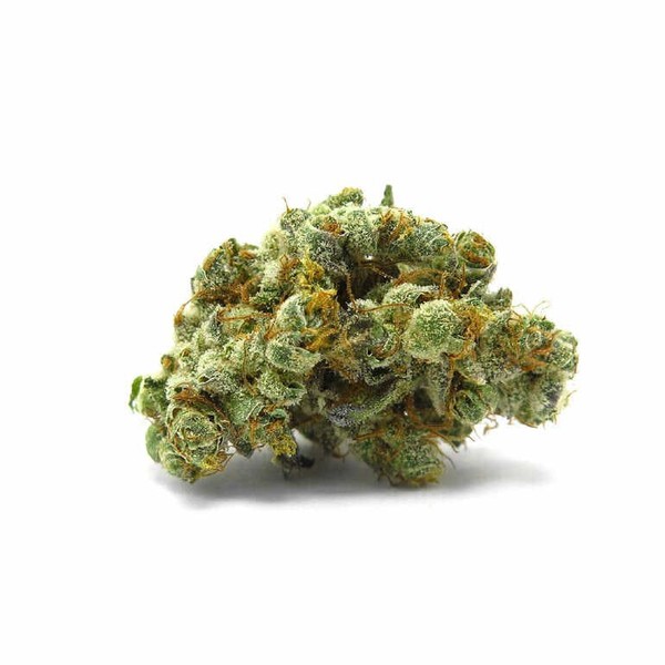 GMO Cookies – Savory Garlic & Diesel