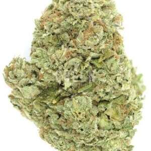 OG Kush – Classic Gas & Pine - Bundle
