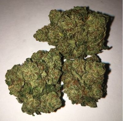 Trump OG – Classic Kush & Citrus Aroma