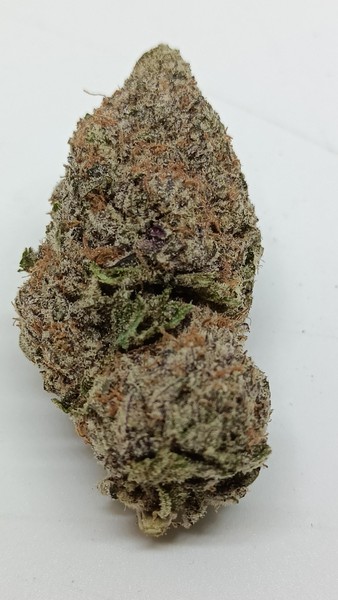 Daytona Diesel – High-Octane Fuel Flavor