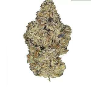 Cheetah Piss – Citrus Gas Aroma