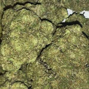 Zoap – Sweet Apricot, Citrus & Soapy Gas
