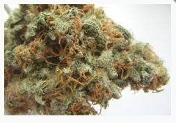 Chocolope – Coffee & Chocolate Aroma