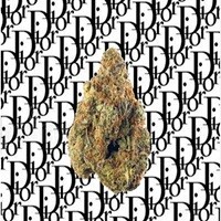 Dior Dutchess – Luxurious Citrus Aroma