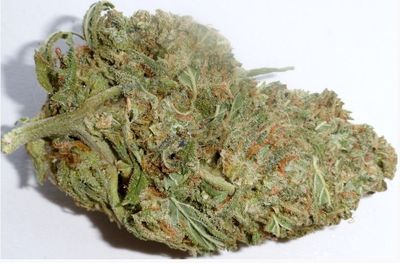 Haze – Classic Citrus Spice