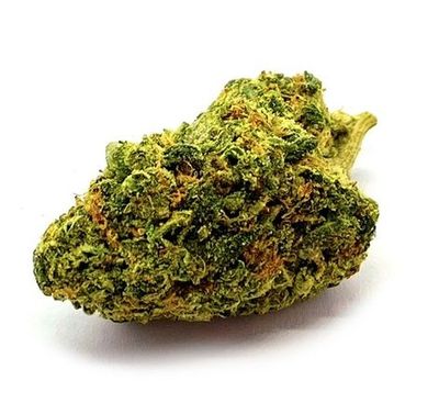 King Louie XIII – Classic Pine Aroma