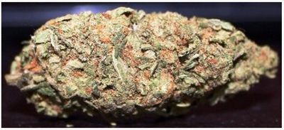 Lucid Ripper – Sharp Citrus Diesel Aroma