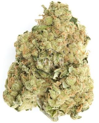 SVG OG – Heavy Gas & Pine Aroma