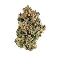 Sunset Sherbet – Sweet Berry Aroma