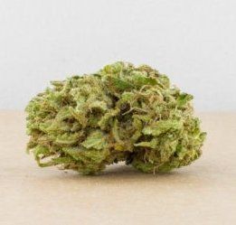 Tangie – Sweet Citrus & Tropical Aroma