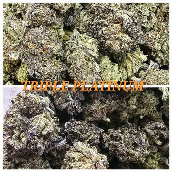 Triple Platinum – Sweet Earth - Bundles