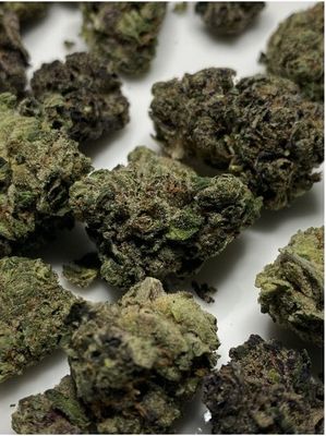 Truffle Pig – Rich Chocolate Aroma