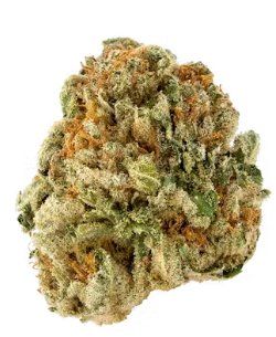 Wham – Sweet Gas & Citrus Aroma