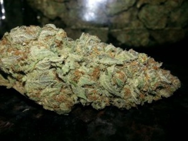 Blue Bastard – Bold Berry Funk