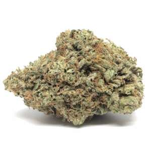 Chocolate Kush – Rich Cocoa