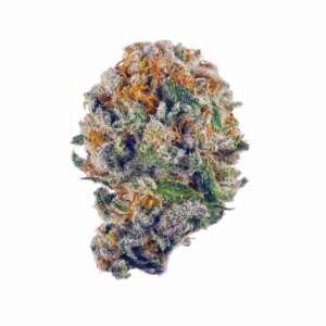 Purple Wizard – Grape, Berry, Herbal