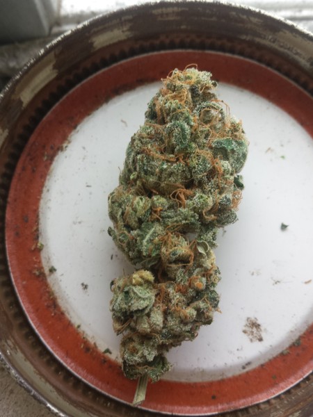 White Russian – Sweet Earth & Spice