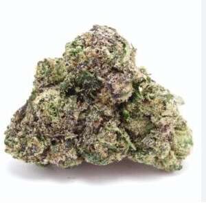 Fatso #2 – Heavy Gas, Earthy Cream Flavor