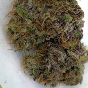 Red Queen – Sweet Berry, Citrus