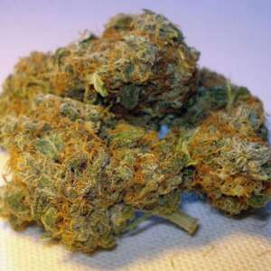 Royal Dutch – Sweet Herbal Spice